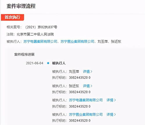 苏宁电器被强制执行超30亿,张近东等同为被执行人